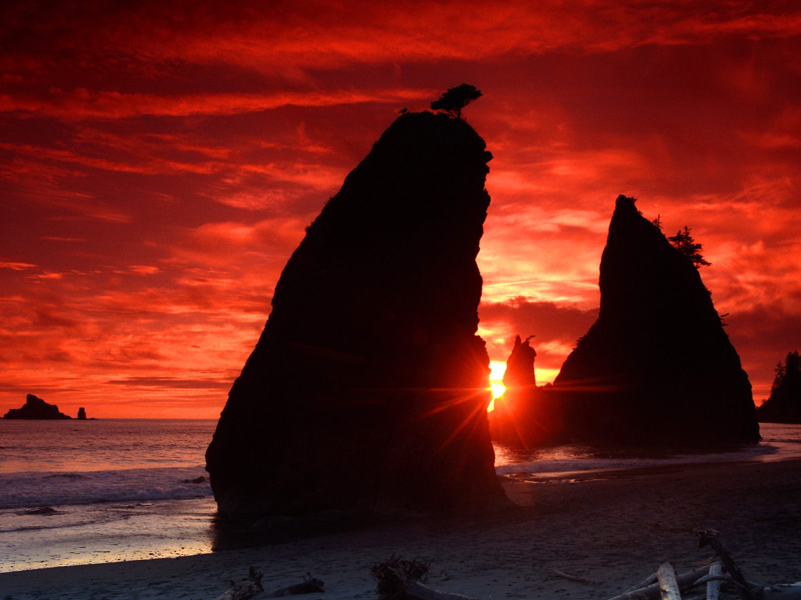 Sea Stacks Knife a Blood Red Sky7429817351